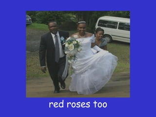 red roses too 