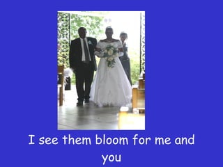 I see them bloom for me and you 