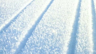 Our Wonderful World! 2# LRC