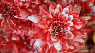 Our Wonderful World! 2# LRC