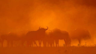 Our Wonderful World! 2# LRC