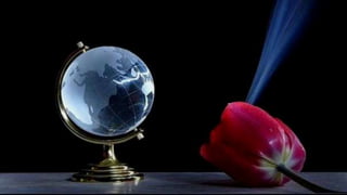 Our Wonderful World! 2# LRC