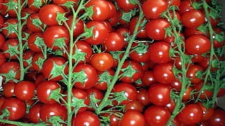 Our Wonderful World! 2# LRC