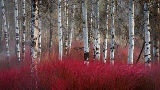 Our Wonderful World! 2# LRC