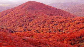 Our Wonderful World! 2# LRC