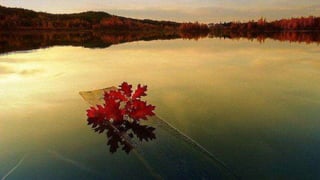 Our Wonderful World! 2# LRC