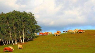 Our Wonderful World! 2# LRC