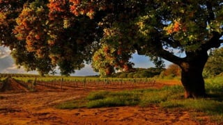 Our Wonderful World! 2# LRC