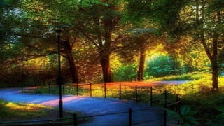 Our Wonderful World! 2# LRC