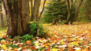 Our Wonderful World! 2# LRC