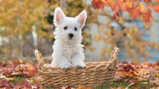 Our Wonderful World! 2# LRC