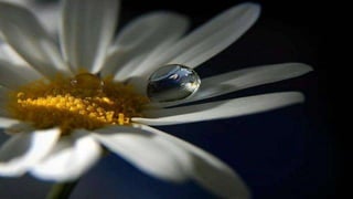 Our Wonderful World! 2# LRC