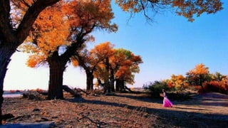 Our Wonderful World! 2# LRC