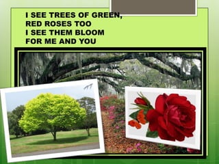 I SEE TREES OF GREEN,
RED ROSES TOO
I SEE THEM BLOOM
FOR ME AND YOU
 