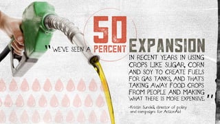 50WE’VE SEEN A expansionIN RECENT YEARS IN USING
CROPS LIKE SUGAR, CORN
AND SOY TO CREATE FUELS
FOR GAS TANKS, AND THAT’S
...