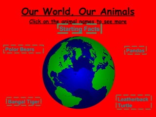 Our World, Our Animals Click on the animal names to see more Polor Bears Bangal Tiger Pandas Leatherback  Turtle Starting Facts 