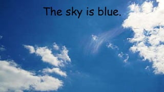 The sky is blue.
 