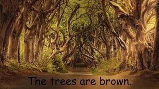 The trees are brown.
 