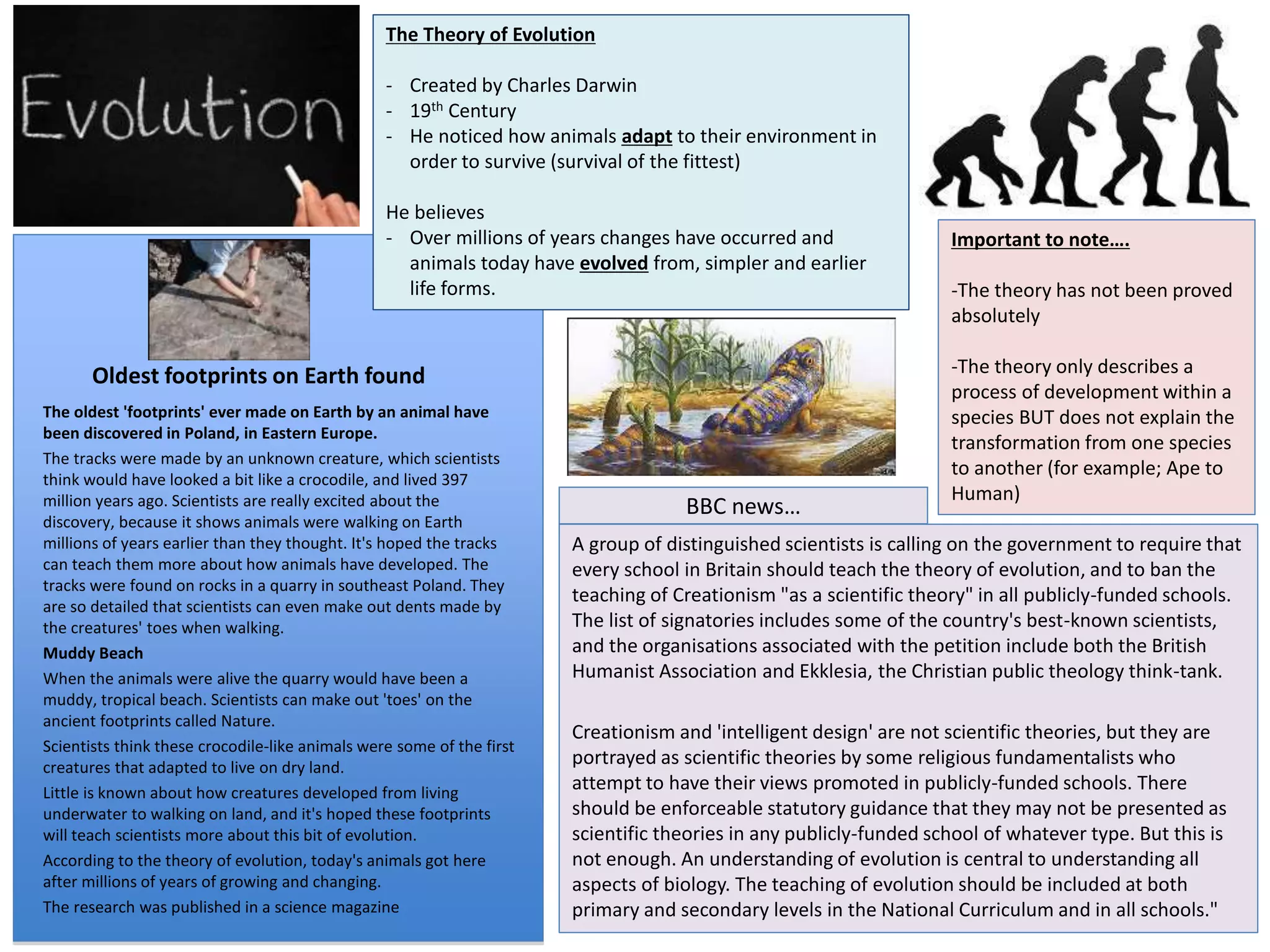- Created by Charles Darwin 
- 19th Century 
- He noticed how animals adapt to their environment in 
order to survive (survival of the fittest) 
He believes 
- Over millions of years changes have occurred and 
animals today have evolved from, simpler and earlier 
life forms. 
BBC news… 
The Theory of Evolution 
Important to note…. 
-The theory has not been proved 
absolutely 
-The theory only describes a 
process of development within a 
species BUT does not explain the 
transformation from one species 
to another (for example; Ape to 
Human) 
A group of distinguished scientists is calling on the government to require that 
every school in Britain should teach the theory of evolution, and to ban the 
teaching of Creationism "as a scientific theory" in all publicly-funded schools. 
The list of signatories includes some of the country's best-known scientists, 
and the organisations associated with the petition include both the British 
Humanist Association and Ekklesia, the Christian public theology think-tank. 
Creationism and 'intelligent design' are not scientific theories, but they are 
portrayed as scientific theories by some religious fundamentalists who 
attempt to have their views promoted in publicly-funded schools. There 
should be enforceable statutory guidance that they may not be presented as 
scientific theories in any publicly-funded school of whatever type. But this is 
not enough. An understanding of evolution is central to understanding all 
aspects of biology. The teaching of evolution should be included at both 
primary and secondary levels in the National Curriculum and in all schools." 
Oldest footprints on Earth found 
The oldest 'footprints' ever made on Earth by an animal have 
been discovered in Poland, in Eastern Europe. 
The tracks were made by an unknown creature, which scientists 
think would have looked a bit like a crocodile, and lived 397 
million years ago. Scientists are really excited about the 
discovery, because it shows animals were walking on Earth 
millions of years earlier than they thought. It's hoped the tracks 
can teach them more about how animals have developed. The 
tracks were found on rocks in a quarry in southeast Poland. They 
are so detailed that scientists can even make out dents made by 
the creatures' toes when walking. 
Muddy Beach 
When the animals were alive the quarry would have been a 
muddy, tropical beach. Scientists can make out 'toes' on the 
ancient footprints called Nature. 
Scientists think these crocodile-like animals were some of the first 
creatures that adapted to live on dry land. 
Little is known about how creatures developed from living 
underwater to walking on land, and it's hoped these footprints 
will teach scientists more about this bit of evolution. 
According to the theory of evolution, today's animals got here 
after millions of years of growing and changing. 
The research was published in a science magazine 
 