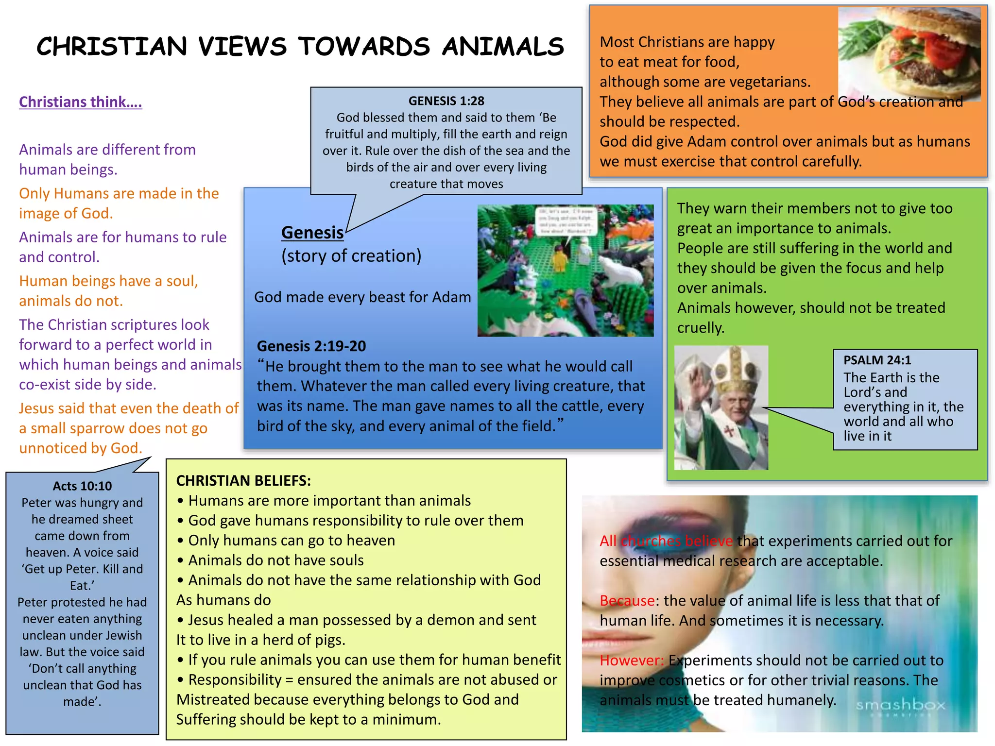 Christians think…. 
Animals are different from 
human beings. 
Only Humans are made in the 
image of God. 
Animals are for humans to rule 
and control. 
Human beings have a soul, 
animals do not. 
The Christian scriptures look 
forward to a perfect world in 
which human beings and animals 
co-exist side by side. 
Jesus said that even the death of 
a small sparrow does not go 
unnoticed by God. 
God made every beast for Adam 
Most Christians are happy 
to eat meat for food, 
although some are vegetarians. 
They believe all animals are part of God’s creation and 
should be respected. 
God did give Adam control over animals but as humans 
we must exercise that control carefully. 
Genesis 2:19-20 
“He brought them to the man to see what he would call 
them. Whatever the man called every living creature, that 
was its name. The man gave names to all the cattle, every 
bird of the sky, and every animal of the field.” 
They warn their members not to give too 
great an importance to animals. 
People are still suffering in the world and 
they should be given the focus and help 
over animals. 
Animals however, should not be treated 
cruelly. 
All churches believe that experiments carried out for 
essential medical research are acceptable. 
Because: the value of animal life is less that that of 
human life. And sometimes it is necessary. 
However: Experiments should not be carried out to 
improve cosmetics or for other trivial reasons. The 
animals must be treated humanely. 
CHRISTIAN VIEWS TOWARDS ANIMALS 
Genesis 
(story of creation) 
CHRISTIAN BELIEFS: 
• Humans are more important than animals 
• God gave humans responsibility to rule over them 
• Only humans can go to heaven 
• Animals do not have souls 
• Animals do not have the same relationship with God 
As humans do 
• Jesus healed a man possessed by a demon and sent 
It to live in a herd of pigs. 
• If you rule animals you can use them for human benefit 
• Responsibility = ensured the animals are not abused or 
Mistreated because everything belongs to God and 
Suffering should be kept to a minimum. 
PSALM 24:1 
The Earth is the 
Lord’s and 
everything in it, the 
world and all who 
live in it 
GENESIS 1:28 
God blessed them and said to them ‘Be 
fruitful and multiply, fill the earth and reign 
over it. Rule over the dish of the sea and the 
birds of the air and over every living 
creature that moves 
Acts 10:10 
Peter was hungry and 
he dreamed sheet 
came down from 
heaven. A voice said 
‘Get up Peter. Kill and 
Eat.’ 
Peter protested he had 
never eaten anything 
unclean under Jewish 
law. But the voice said 
‘Don’t call anything 
unclean that God has 
made’. 
 