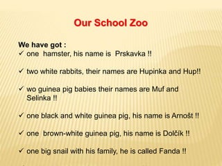 Our School Zoo
We have got :
 one hamster, his name is Prskavka !!
 two white rabbits, their names are Hupinka and Hup!!
 wo guinea pig babies their names are Muf and
Selinka !!
 one black and white guinea pig, his name is Arnošt !!
 one brown-white guinea pig, his name is Dolčík !!
 one big snail with his family, he is called Fanda !!
 