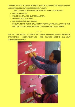 DESPRÉS DE TOTS AQUESTS MOMENTS, UNA DE LES NENES DEL GRUP, UN DIA A
LA CONVERSA DEL MATÍ ENS SORPRÈN EXPLICANT:
- ... QUE LA ROSETA VA PONDRE UN OU PETIT... I ENS L’HEM MENJAT!
- QUI ÉS LA ROSETA?
- UNA DE LES GALLINES QUE TENIM A CASA...
- I NO TENIA POLLET A DINS?
- NO... NO TINC CAP GALL A CASA!
- ÉS CLAR...I SI NO TÉ CAP GALL, NO POT FER-SE UN POLLET... JA US HO VAIG
DIR, QUE ELS GALLS CANTEN MOLT... I NO VOLEN GALLS, ELS PARES...
* * * * *
HEM FET UN RECULL, A PARTIR DE LLEGIR PARAULES CLAUS D’AQUESTA
INVESTIGACIÓ, I ORGANITZANT-LES (AMB IMATGES) SEGONS HAN ANAT
CONSIDERANT OPORTÚ.
 