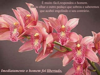 É muito fácil,respondeu o homem. Bas ta olhar o outro pedaço que sobrou e saberemos que acabei engolindo o seu contrário. Imediatamente o homem foi  libertado. 