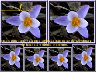  Por mais difícil que seja uma situação,não deixe de acreditar e  de lutar até o último momento. 