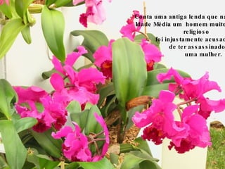 Conta uma antiga lenda que na  Idade Média um  homem muito  religioso  foi injustamente acusado  de ter assassinado  uma mulher. 