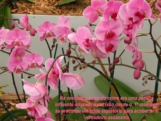 Na verdade,o autor do crime era uma pessoa  influente do reino e por isso,desde o  1º momento se procurou um bode expiatório para acobertar o  verdadeiro assassino. 