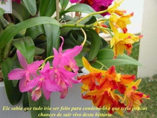 Ele sabia que tudo iria ser feito para condená-lo e que teria poucas  chances de sair vivo desta história. 