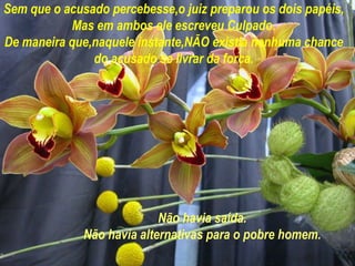 Sem que o acusado percebesse,o juiz preparou os dois papéis, Mas em ambos ele escreveu Culpado. De maneira que,naquele instante,NÃO existia nenhuma chance do acusado se livrar da forca. Não havia saída. Não havia alternativas para o pobre homem. 