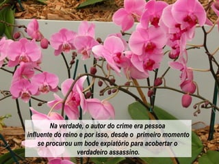 Na verdade, o autor do crime era pessoa  influente do reino e por isso, desde o  primeiro momento se procurou um bode expiatório para acobertar o  verdadeiro assassino. 