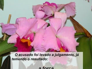 O acusado foi levado a julgamento, já temendo o resultado:  a forca. 