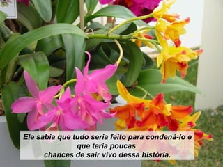 Ele sabia que tudo seria feito para condená-lo e que teria poucas  chances de sair vivo dessa história. 