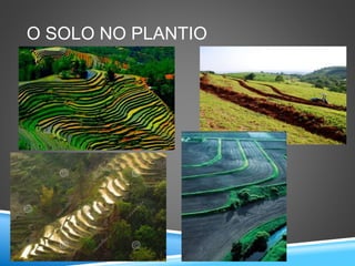O SOLO NO PLANTIO
 