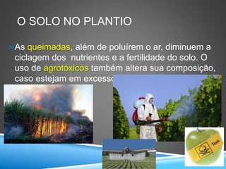 O SOLO NO PLANTIO
As queimadas, além de poluírem o ar, diminuem a
ciclagem dos nutrientes e a fertilidade do solo. O
uso de agrotóxicos também altera sua composição,
caso estejam em excesso.
 