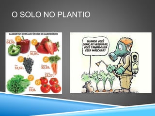O SOLO NO PLANTIO
 
