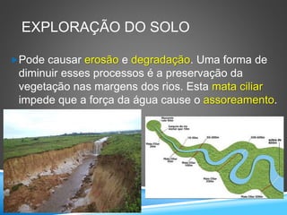 EXPLORAÇÃO DO SOLO
Pode causar erosão e degradação. Uma forma de
diminuir esses processos é a preservação da
vegetação nas margens dos rios. Esta mata ciliar
impede que a força da água cause o assoreamento.
 