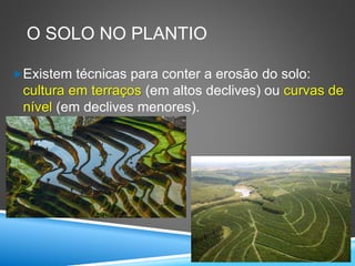O SOLO NO PLANTIO
Existem técnicas para conter a erosão do solo:
cultura em terraços (em altos declives) ou curvas de
nível (em declives menores).
 