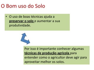 O Bom uso do Solo
 • O uso de boas técnicas ajuda a
   preservar o solo e aumentar a sua
   produtividade.




             Por isso é importante conhecer algumas
             técnicas de produção agrícola para
             entender como o agricultor deve agir para
             aproveitar melhor os solos.
 