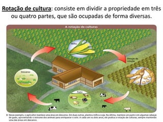 Rotação de cultura: consiste em dividir a propriedade em três
   ou quatro partes, que são ocupadas de forma diversas.
 