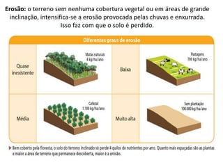 Erosão: o terreno sem nenhuma cobertura vegetal ou em áreas de grande
  inclinação, intensifica-se a erosão provocada pelas chuvas e enxurrada.
                      Isso faz com que o solo é perdido.
 