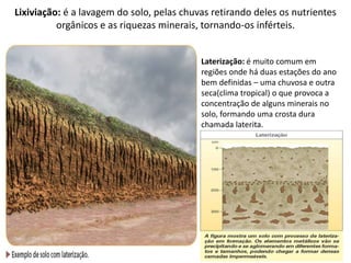 Lixiviação: é a lavagem do solo, pelas chuvas retirando deles os nutrientes
          orgânicos e as riquezas minerais, tornando-os inférteis.


                                           Laterização: é muito comum em
                                           regiões onde há duas estações do ano
                                           bem definidas – uma chuvosa e outra
                                           seca(clima tropical) o que provoca a
                                           concentração de alguns minerais no
                                           solo, formando uma crosta dura
                                           chamada laterita.
 