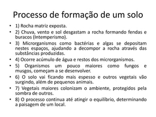 Processo de formação de um solo
• 1) Rocha matriz exposta.
• 2) Chuva, vento e sol desgastam a rocha formando fendas e
  buracos (Intemperismo).
• 3) Microrganismos como bactérias e algas se depositam
  nestes espaços, ajudando a decompor a rocha através das
  substâncias produzidas.
• 4) Ocorre acúmulo de água e restos dos microrganismos.
• 5) Organismos um pouco maiores como fungos e
  musgos, começam a se desenvolver.
• 6) O solo vai ficando mais espesso e outros vegetais vão
  surgindo, além de pequenos animais.
• 7) Vegetais maiores colonizam o ambiente, protegidos pela
  sombra de outros.
• 8) O processo continua até atingir o equilíbrio, determinando
  a paisagem de um local.
 
