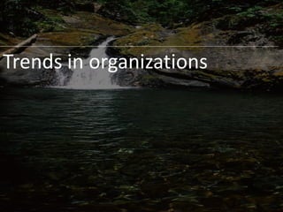 Trends in organizations
 