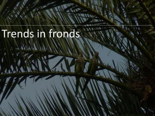 Trends in fronds
 
