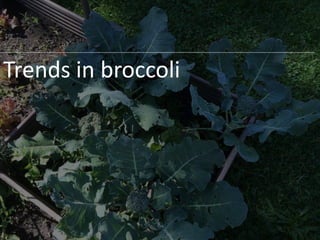 Trends in broccoli
 