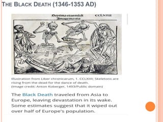 THE BLACK DEATH (1346-1353 AD)
 
