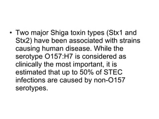 Outbreak of shiga toxin producing e coli | PPT